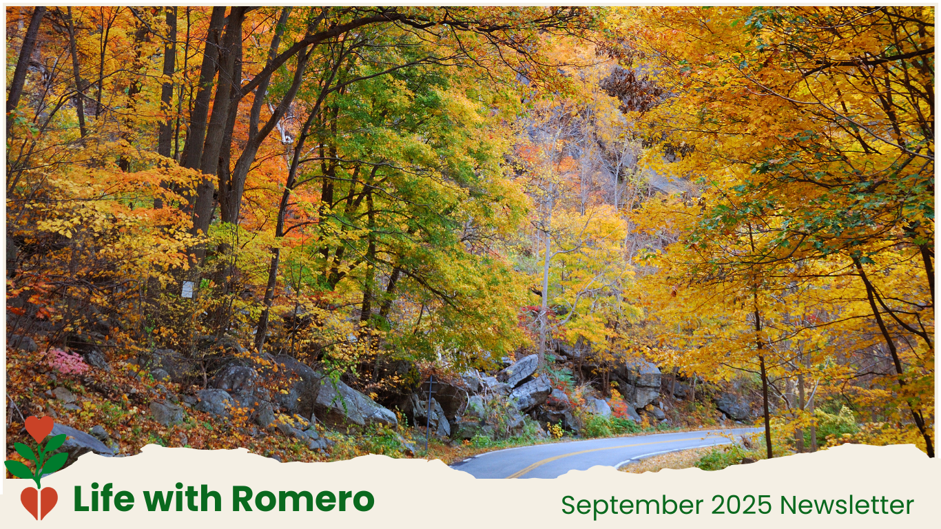 September 2025 Newsletter