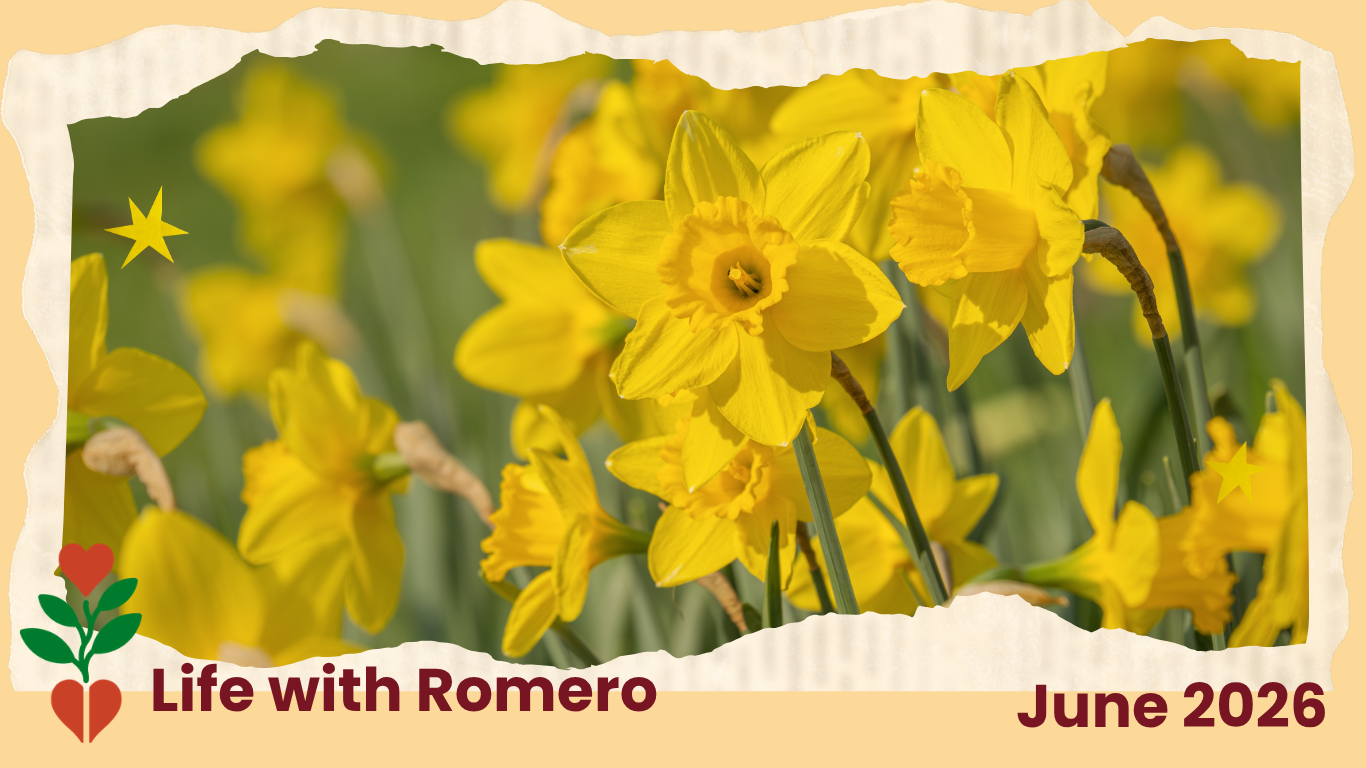 June 2026 Newsletter